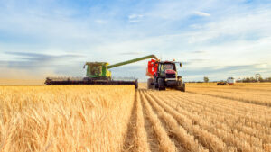 Hintergrundbild: Factoring Referenz aus der Branche Landwirtschaft