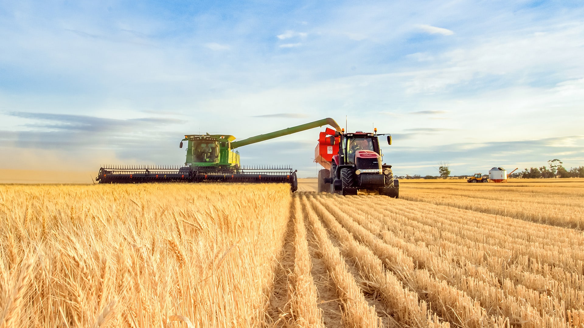 Hintergrundbild: Factoring Referenz aus der Branche Landwirtschaft